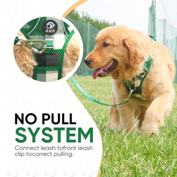 🐾 No Pull Dog Harness, Adjustable Dog Harnesses with Leash and Handle, L - Picture 4 of 10